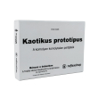 Kaotikus prototípus